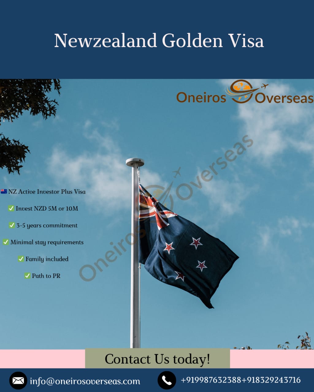 New Zealand Active Investor Plus Visa - Step-by-Step Guide